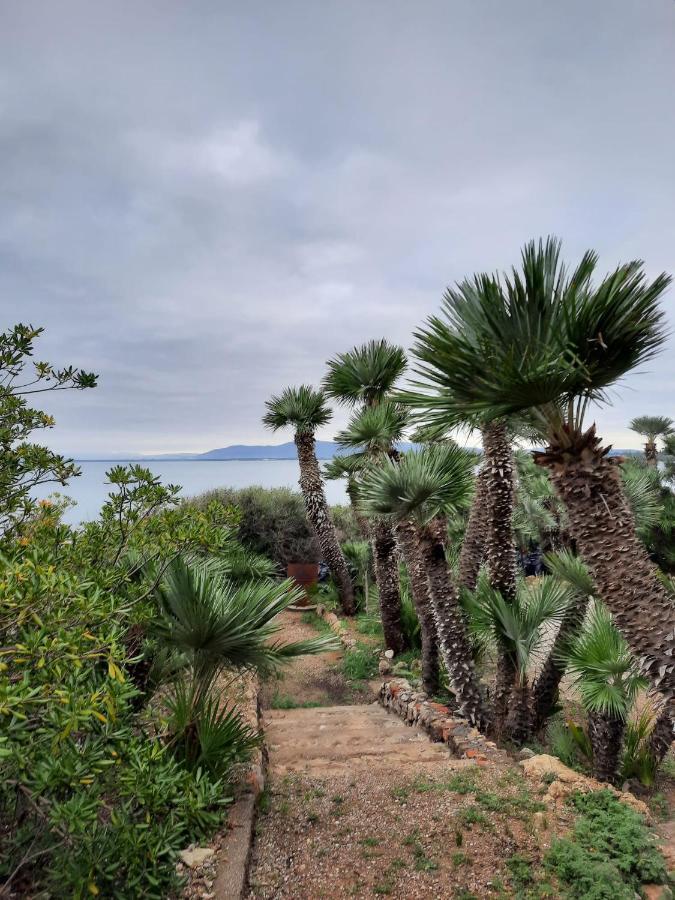 Villa Flora Argentario Порто Санто Стефано Экстерьер фото